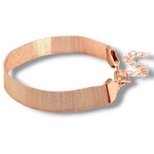NWT Mesh Bracelet (7 1/2" D) and Necklace (20" L) in ION Plated Rose Gold Stainl